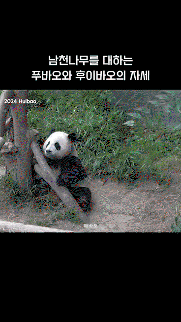 YfHdFL.gif