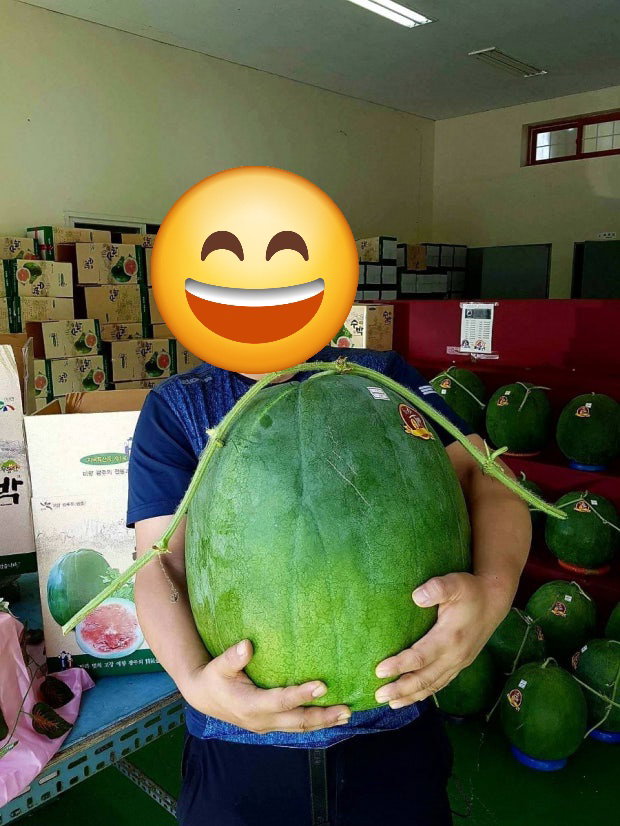 YfZKCC