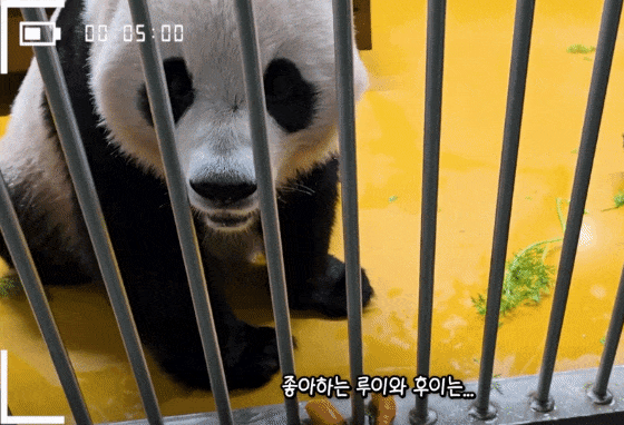 YgTcDE.gif