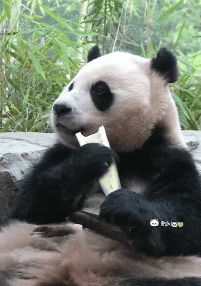 YhCPTV.gif