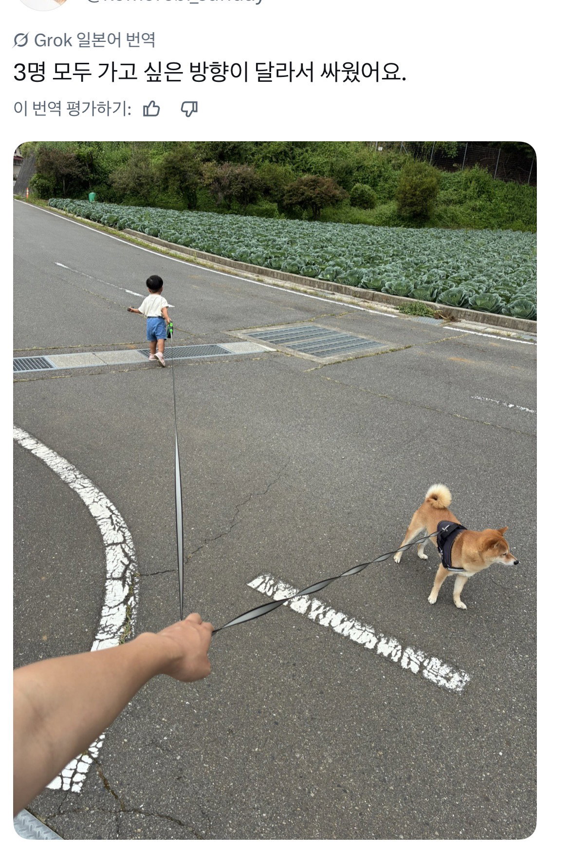YhfVvR