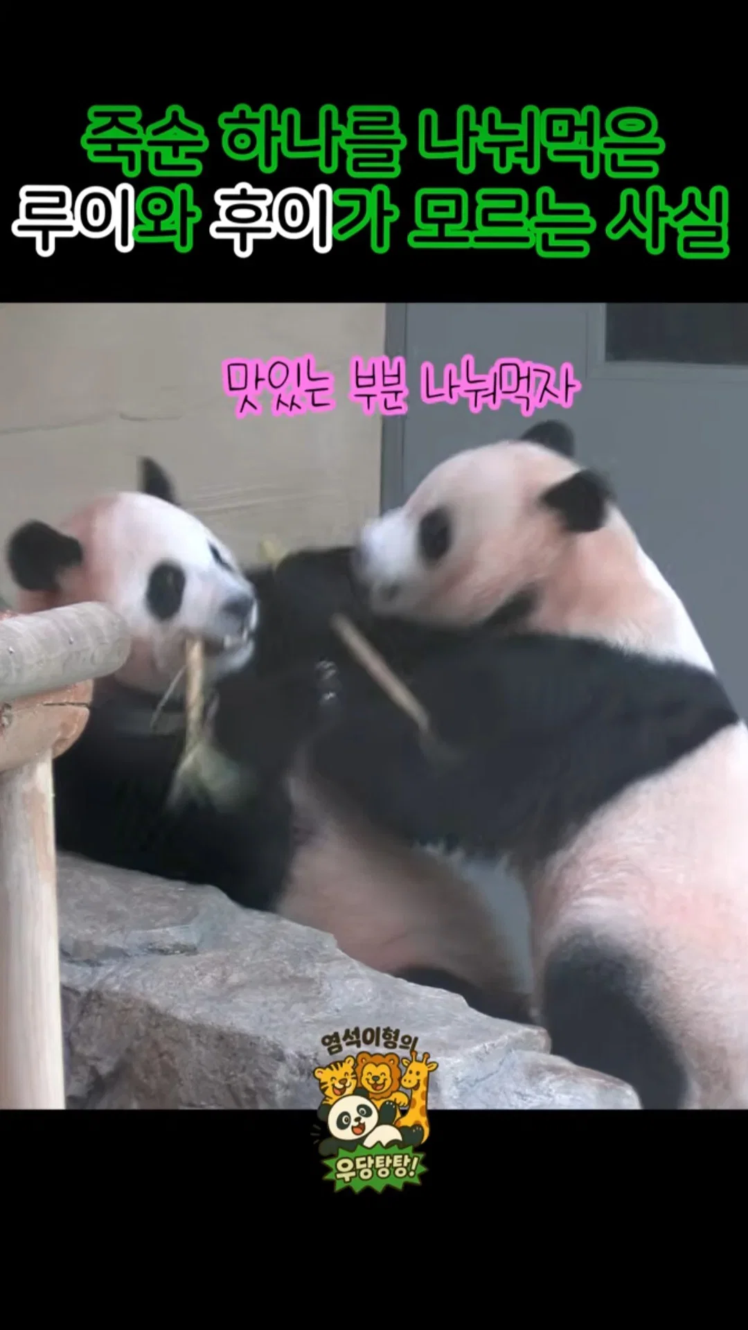 YiQOks