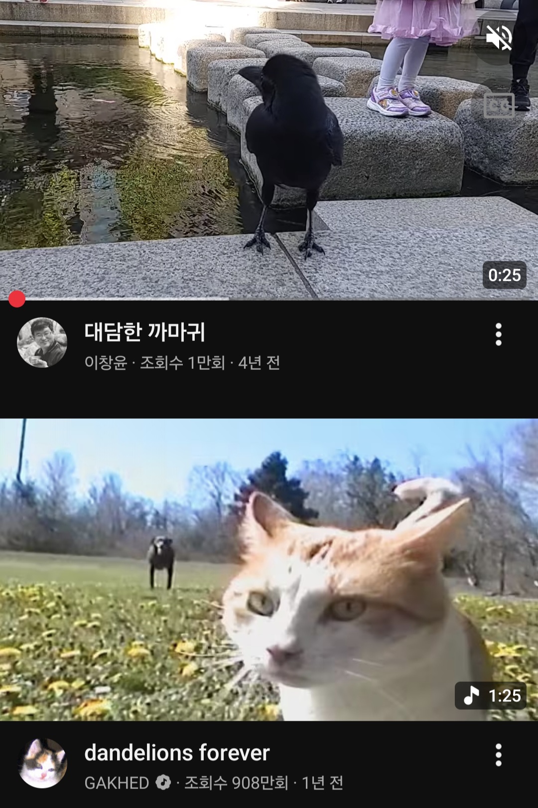 YjKmis