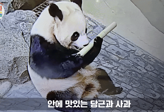 YjvupV.gif