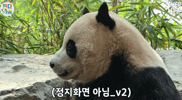YlQEpd.gif