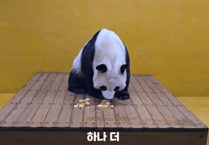 YoGPus.gif