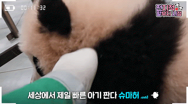 YpQXln.gif