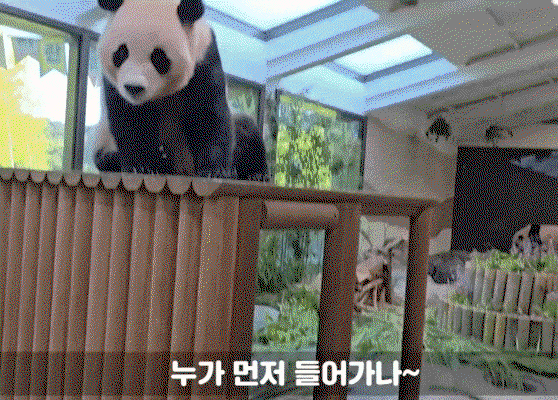 YpZzXB.gif