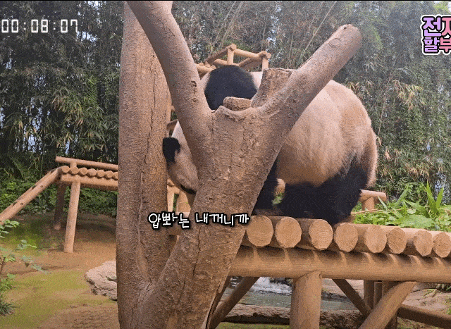 YsxysZ.gif