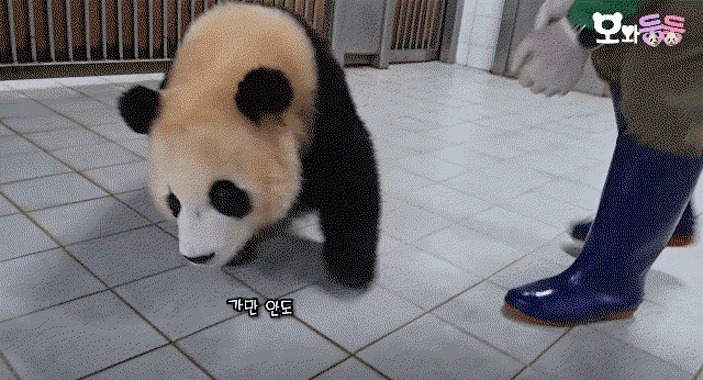 YuqTga.gif