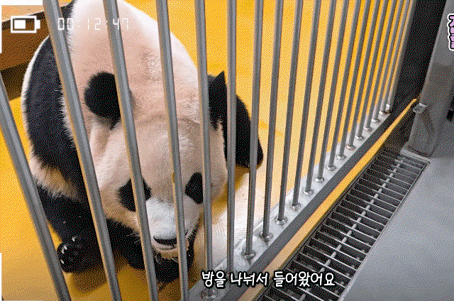 YvPnwt.gif