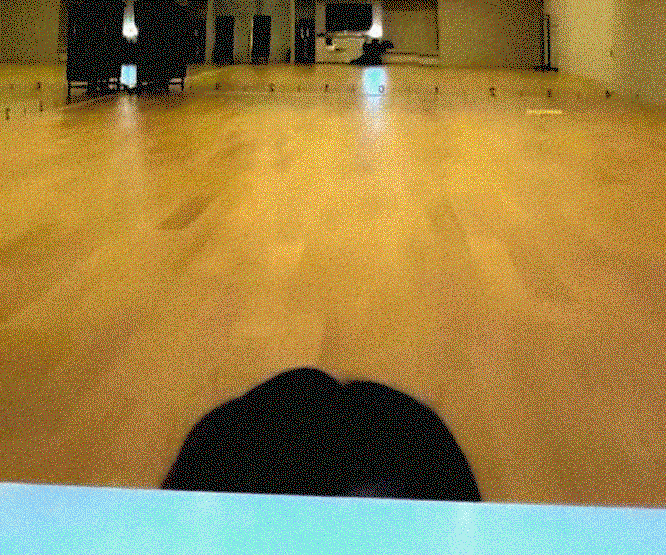 YvXvEN.gif