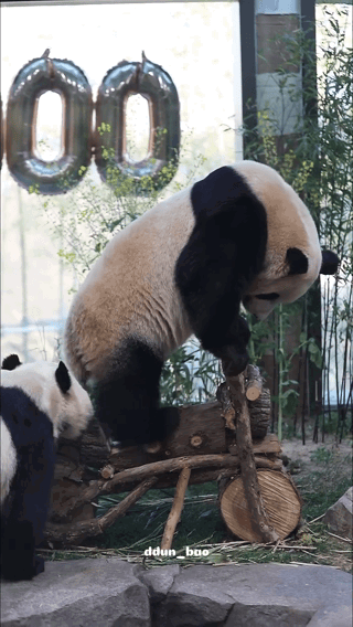 YvhqcQ.gif