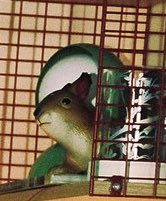 예지는 왼쪽을 보지마시오!