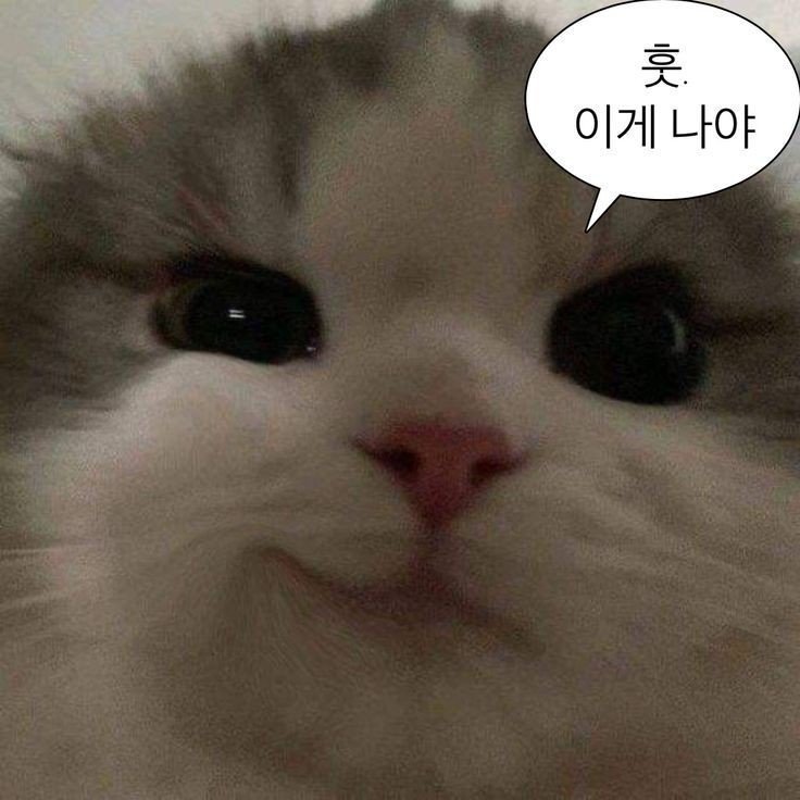 Yzlgqu