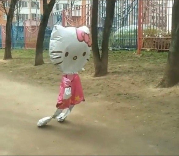 ZDzQuW