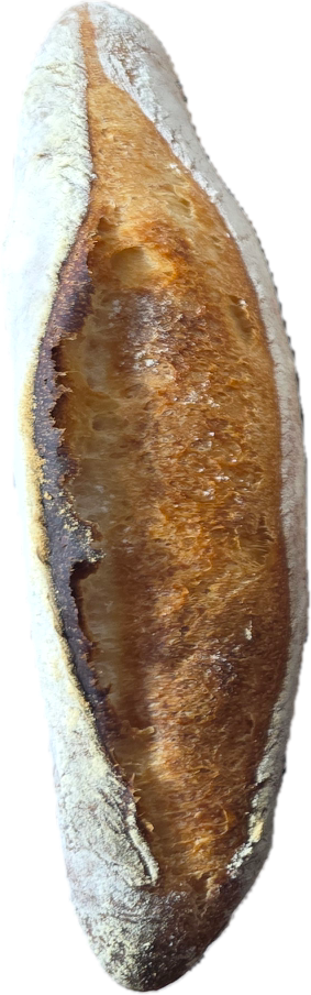 ZEckws