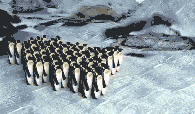 ZFnQxX.gif