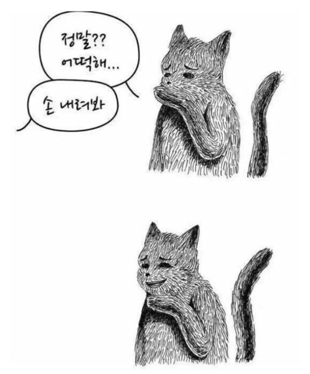 ZHMmbU