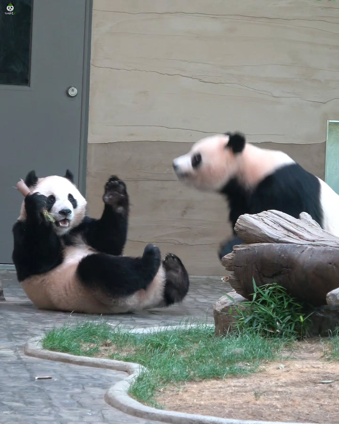 ZHiOza