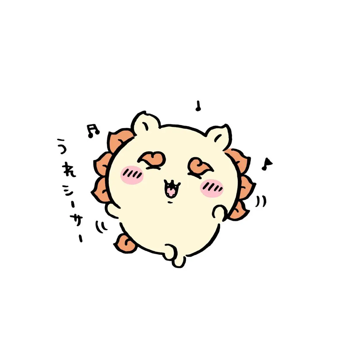 ZIBQqr