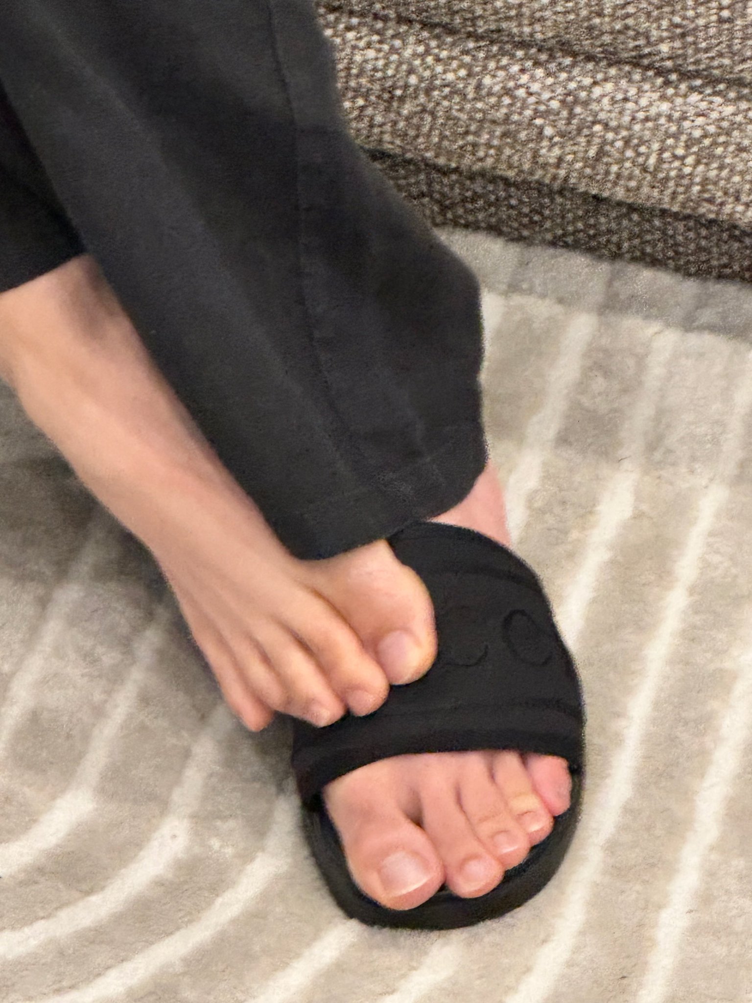 ZIQPVq