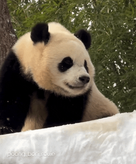 ZIvhTy.gif