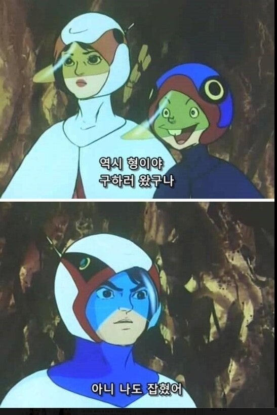 ZPrNTR