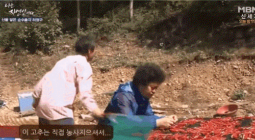 ZQVpuY.gif