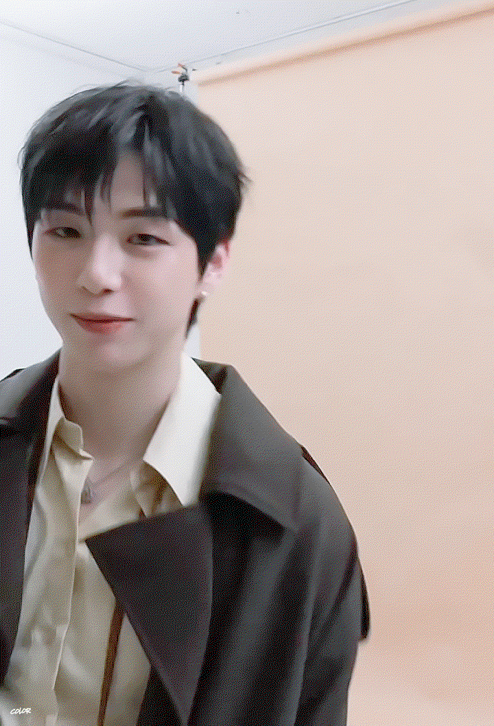 ZReQOu.gif