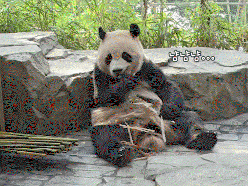 ZRgjdl.gif