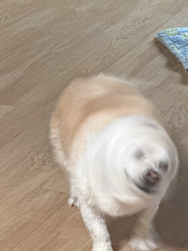 ZTvUXm