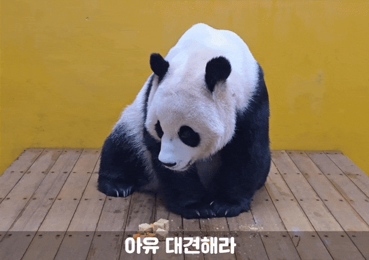 ZXDuNZ.gif