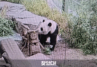 ZZOXnf.gif