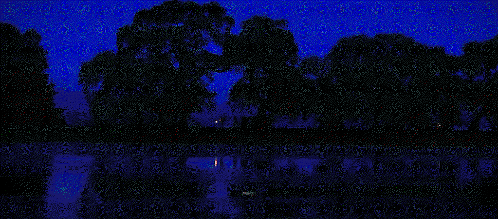 ZdqTpG.gif