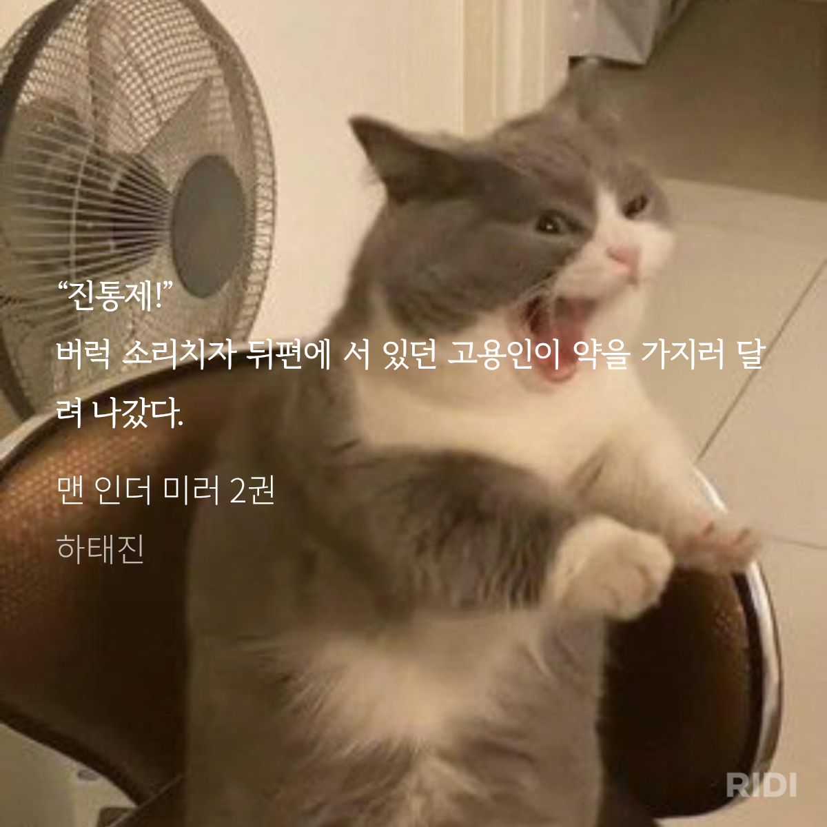 ZehBUX