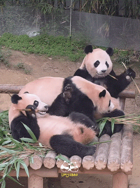 ZggbwK.gif