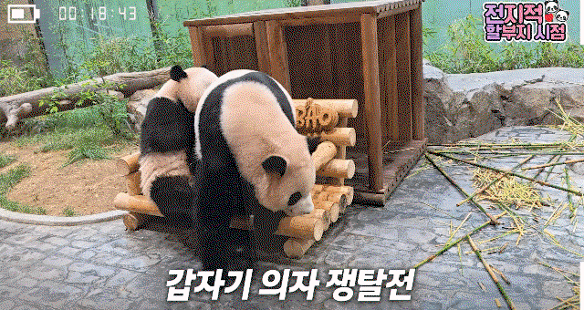 Zgzjcf.gif