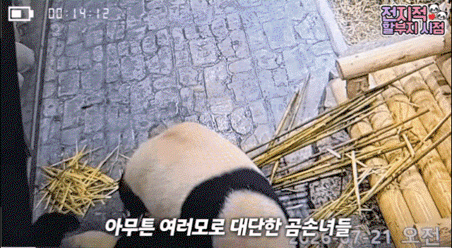 ZiuEnq.gif