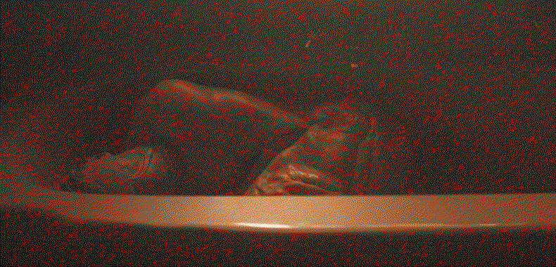 ZjRxsj.gif