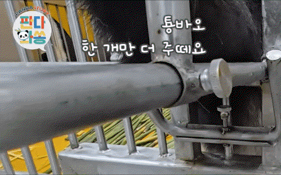 ZngVuo.gif