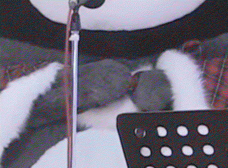 ZnzkKT.gif