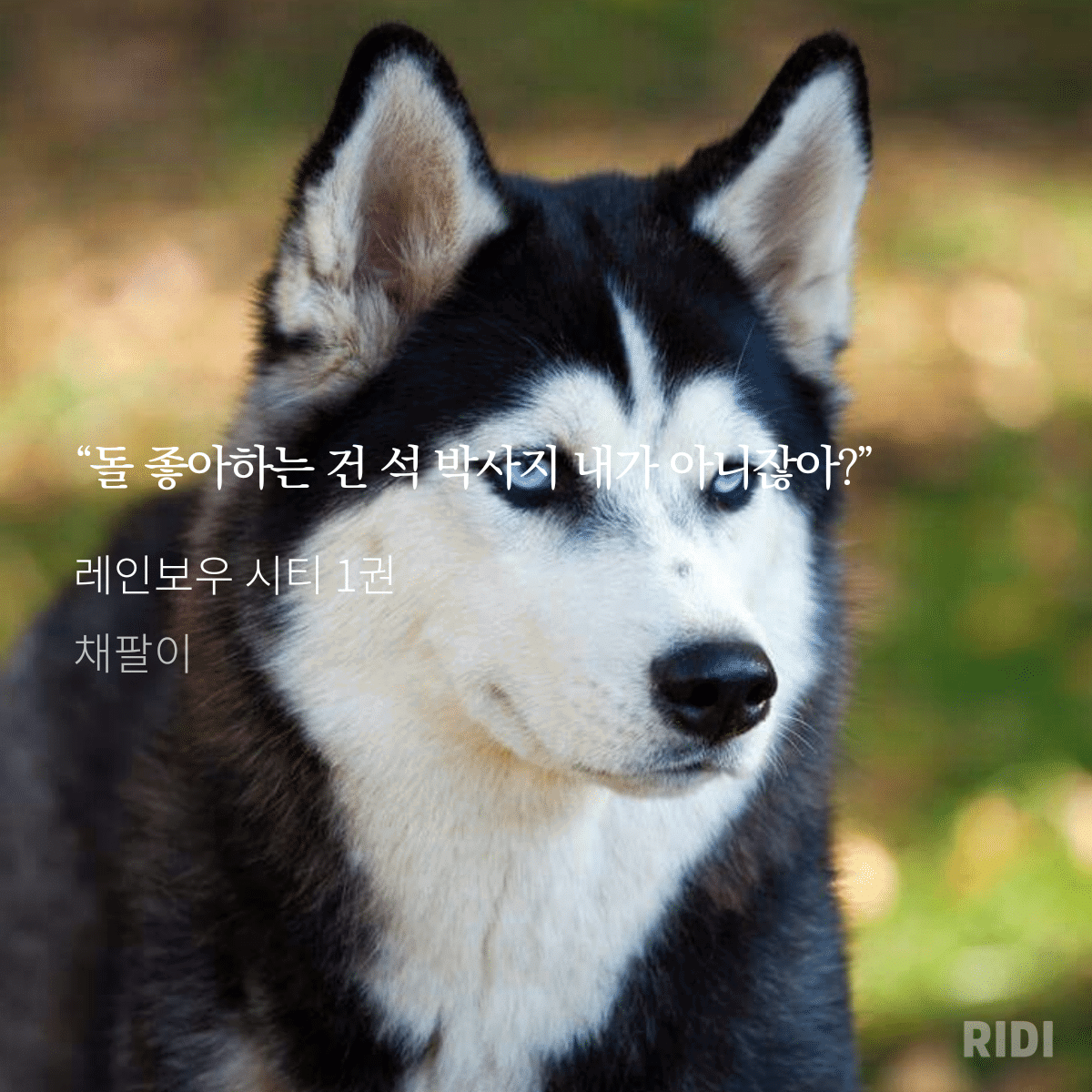 ZqDMQ