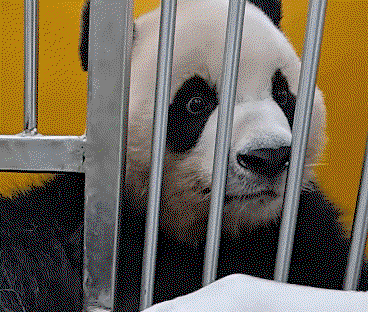 ZqMRtV.gif