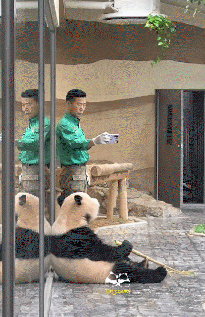 ZqjAfu.gif