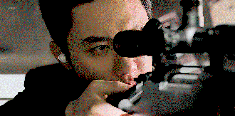 ZvPAwU.gif