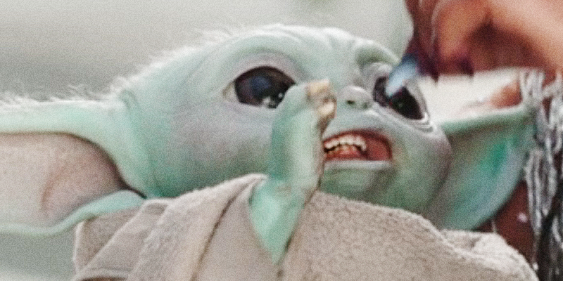 ZvkdXD