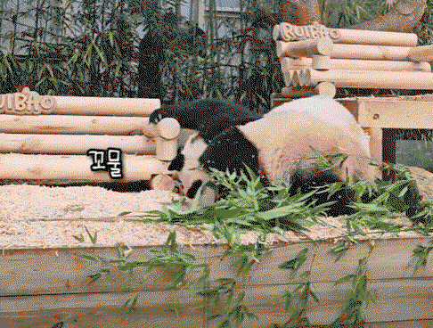 ZwBtqt.gif