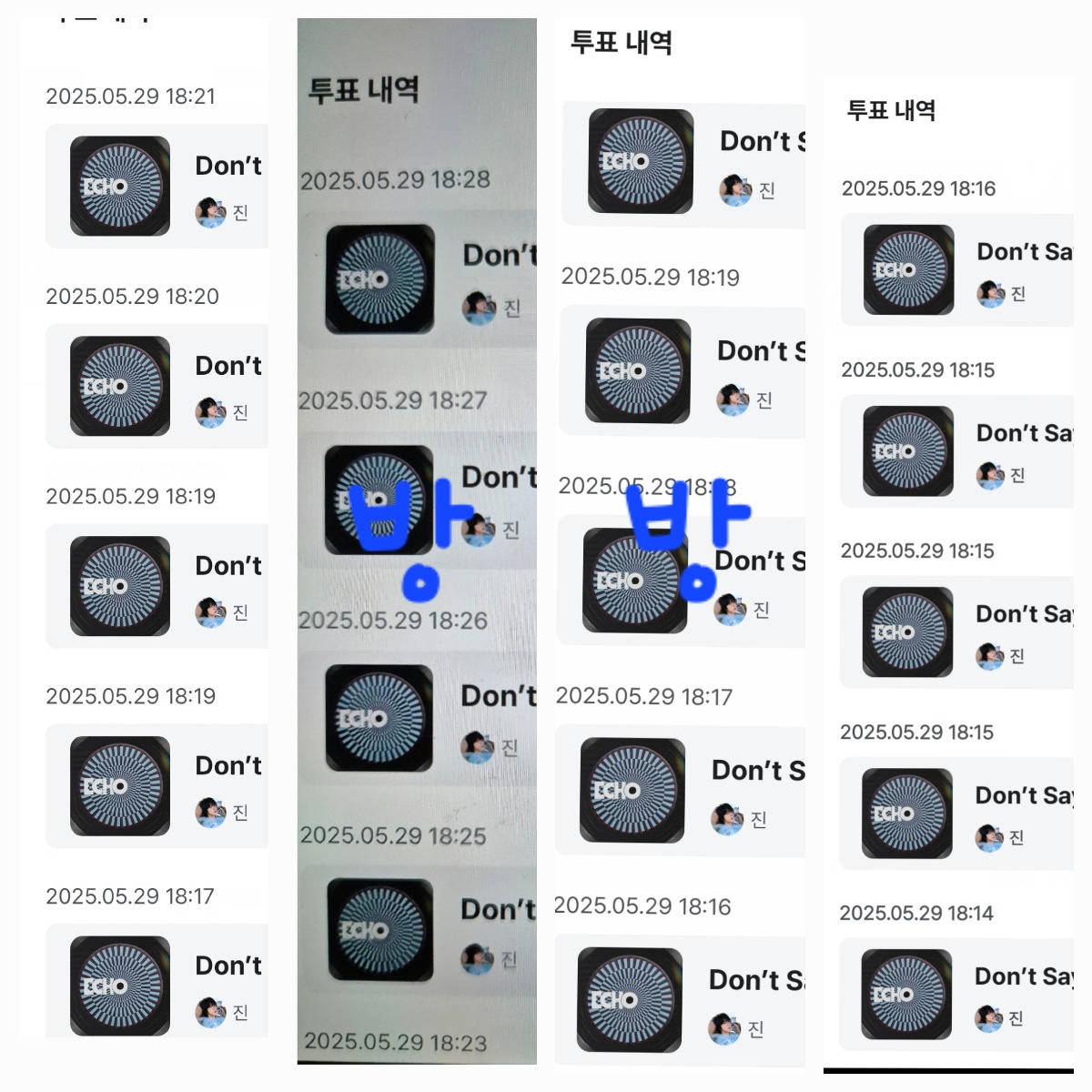 투표완