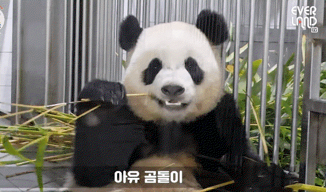 aAVrLU.gif